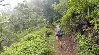 Hawaii Backpacking Muliwai trail into Waimanu Valley [upl. by Ettennaej]