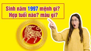 Tuổi Đinh Sưu Sinh Năm 1997 Mệnh Gì Hợp Với Màu Nào Tuổi Gì [upl. by Egreog]