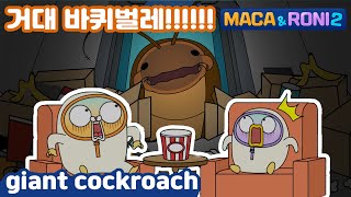 MacaampRoni 2 ★Main Story★  giant cockroach  극한의공포 바퀴벌레  extreme fear of cockroaches  거대 바퀴벌레 [upl. by Eramal]