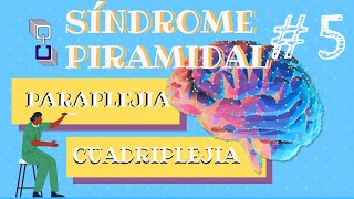 Síndrome Piramidal🩺 5  PARAPLEJIA Y CUADRIPLEJIA 👨🏻‍🦽👩🏻‍🦼 [upl. by Munt]