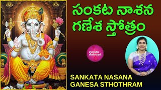 Sing సంకట నాశన గణేశ స్తోత్రం  Sankata Nasana Ganesh Stotram  Sacred Hymn to Lord Ganesha [upl. by Sert]