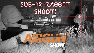 The Airgun Show  Day and night rabbit hunting  Daystate Wolverine air rifle review [upl. by Edualc854]