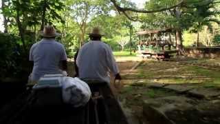 Hacienda Temozón Cenote Tour [upl. by Durkee]