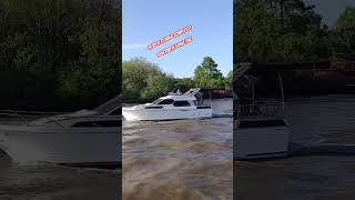 Nos tomamos un catamarán para recorrer el Delta travel argentina turismoargentino turismo [upl. by Drol258]