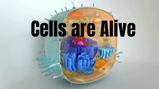 How the CELL MEMBRANE CYTOPLASM and CYTOSKELETON work together to keep the CELL ALIVE [upl. by Donelu]