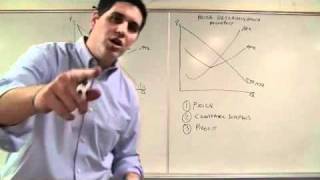 Price Discrimination Micro Topic 43 [upl. by Ennael]