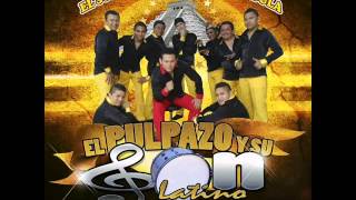 el pulpazo y su son latino 2014 el pechugon [upl. by Sonstrom]