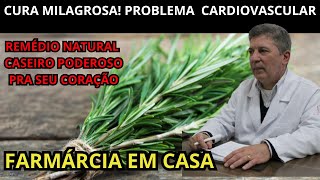 Planta Milagrosa O Melhor REMÈDIO Do Mundo Pra CIRCULAÇÂO DO SANGUE Erva caseiro e natural melhor [upl. by Nele]