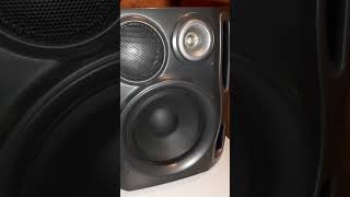 Bassotronics  Quad Mafia Audio Test Aiwa nsx 2200 speakers 1996 Play Video ▶️ [upl. by Tezzil]