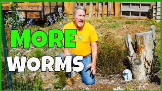 How to Attract Earthworms To The Garden [upl. by Fotzsyzrk]