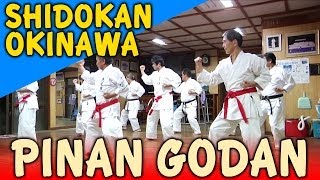 PINAN GODAN  OKINAWA SHIDOKAN shorin ryu [upl. by Hadria]