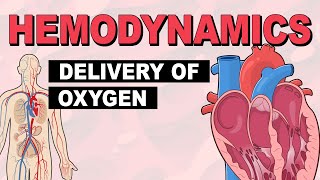 Delivery of Oxygen  Hemodynamics Part 2 [upl. by Suolkcin416]