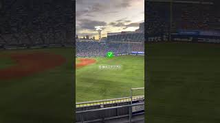 🔴Live 【本日の試合情報】 Yokohama BayStars vs Hiroshima Carp 声出しファミリー増加中baystars [upl. by Chadwick]