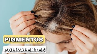 Tintes con PIGMENTOS POLIVALENTES para cabellos con canas [upl. by Trixie982]