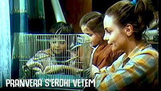 Pranvera serdhi vetem Film ShqiptarAlbanian Movie [upl. by Elyk118]