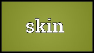 Skin Meaning [upl. by Luis617]