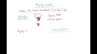 Nephrology 10 ENG papillary necrosis vs pyelonephritis sickle cell disease NSAIDs bumpy kidney [upl. by Varney]