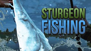 3 ways to Fish for White Sturgeon at San Joaquin Delta in Fishing Planet [upl. by Gnoh222]