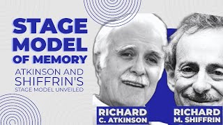 Atkinson and Shiffrins Stage model of Memory [upl. by Cyrille]