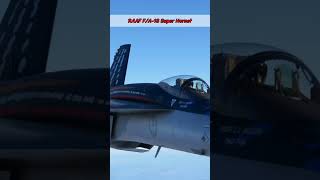 CloseUp Footage of F18 Super Hornet in Action aviation viralvideo shorts [upl. by Sproul]