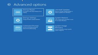 Windows 11 Blue Screen Error Critical Process Died FIX Complete Solution [upl. by Hayotal356]