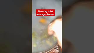 Tinolang isdamalungay leaves cooking ulampinoyrecipe shortvideo foodie [upl. by Ericka918]