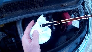 Renault Check Engine Oil Level  Vérifier niveau huile moteur scenic nissan [upl. by Badger]