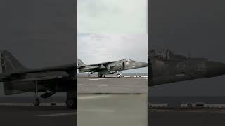 AV 8B Harrier II Vertical Landing [upl. by Inhsor393]