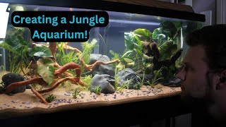 40 gallon Beginner Jungle Aquascape Tutorial [upl. by Dessma]