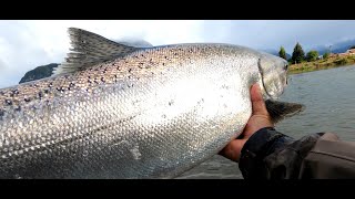 Esto es pesca en Aysén Patagonia chile buscando el gran salmón Chinook en el rio Aysén [upl. by Ardnat]