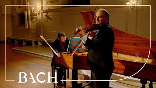 Bach  Sonata for violin and harpsichord no 1 in B minor BWV 1014  Netherlands Bach Society [upl. by Maudie839]