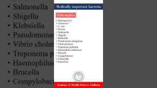 Medically important bacteria  Microbiology  By Imran Yaseen [upl. by Gareri]