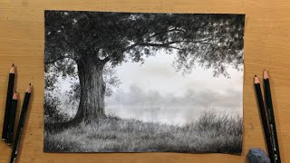 Tree by the River  Landscape in Graphite │No Graphite Shine [upl. by Darwin]