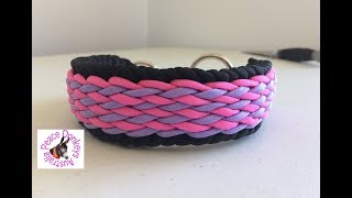 Wavy falls paracord dog collar instructions [upl. by Wiltz9]