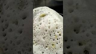 Urad dal dosa southindianrecipe food shortvideo shortsindia [upl. by Nevlin]