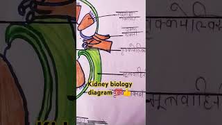 class important biology diagram class 11th youtubeshorts biologytextbook bio digram imp💯💯📚📚📚💥 [upl. by Nev762]