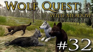 The Weariness of FADING Hope 🐺 WOLF QUEST WILD MEADOW • 32 [upl. by Fredrick762]