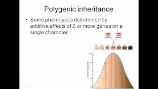 Polygenic inheritance [upl. by Izawa250]