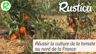 La culture de la tomate dans le nord de la France [upl. by Henson]