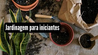 Jardinagem para iniciantes Dicas imperdíveis [upl. by Christabella843]