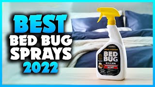 Top 5 Best Bed Bug Sprays You can Buy Right Now 2023 [upl. by Hnil728]