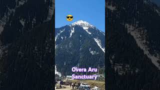 Kashmir wild life sanctuary Overa aru in Pahalgam100 Km from Srinagar [upl. by Nibbs]