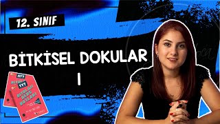 13 BİTKİSEL DOKULAR 1  12 SINIF  DETAYLI KONU ANLATIMI  AYT 2024 [upl. by Mosra]