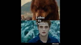 Lobos vs Cullen quem vencejacobsamuleypaullahotejerededwardemmettcullenjaspahalecrepusculo [upl. by Adanar]