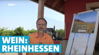 Werner erklärt Wein Rheinhessen [upl. by Nauqan]