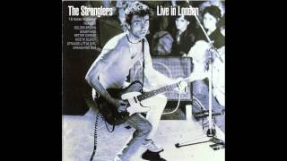 The Stranglers  She Was Quite Close To Me Live Version [upl. by Kushner158]