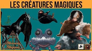 Les créatures magiques dans Les Crimes de Grindelwald  MERCREDI MAGIQUE 3 [upl. by Enoryt]