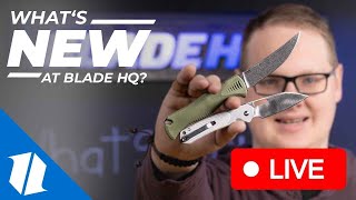 This Knife Will CHANGE Your Life  LIVE New Knives 31124 [upl. by Silber]