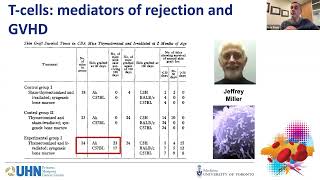 BMT 101 The basics of allogeneic hematopoietic cell transplantation [upl. by Casper972]