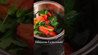 Making Hibiscus Lemonade [upl. by Radcliffe]